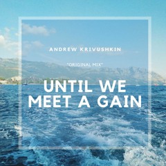 Until We Meet Again (Original Mix)