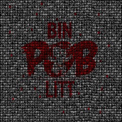 PopOutBoyz - Bin Litt
