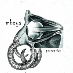 Mkeys - Perception