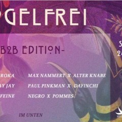 Paul Pinkman b2b DaFinchi @vogelfrei