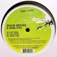 Raum...Musik 057 Shaun Reeves & Miss Fitz - Flat Head