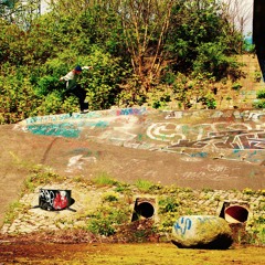 top Coins(hopefully)