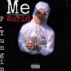 P. Yungin - Paypal