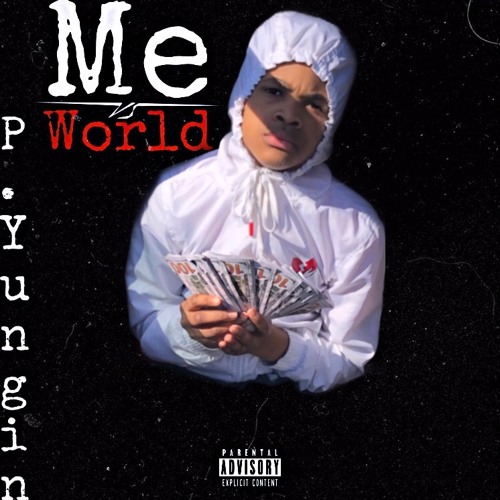 P. Yungin - Paypal