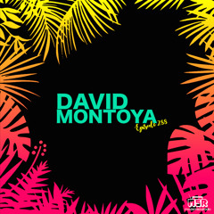 Episode 288 David Montoya