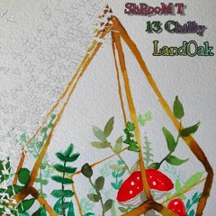 ShRooM T - They're onto me ft 13 chilly x Landoak (beat prod. sikkboy kiddie)