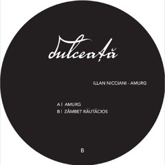Illan Nicciani - Zâmbet Răutăcios