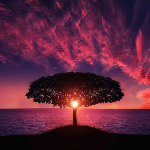 Daniel Simler - Dawn