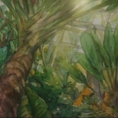 Greenhouse Magic