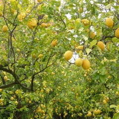 Weakest Shade Of Blue