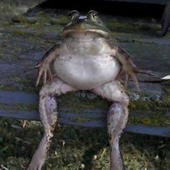 October mix for the homies