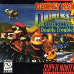 Donkey Kong Country 3 - Nuts and Bolts