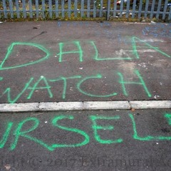 Divis’s finest