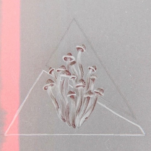 It's Only Special If It Last (Prod. Diego)