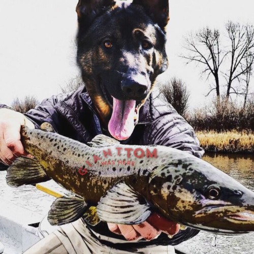 Behold the Pale Horse (New Original Alternative Indie Rock Grunge Music INSTRUMENTAL)