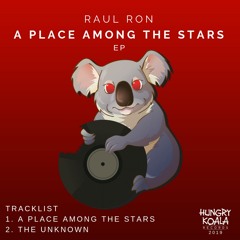Raul Ron - A Place Among The Stars