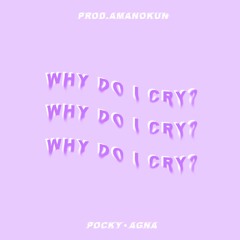 why do I cry - Ink Fears & AGNA