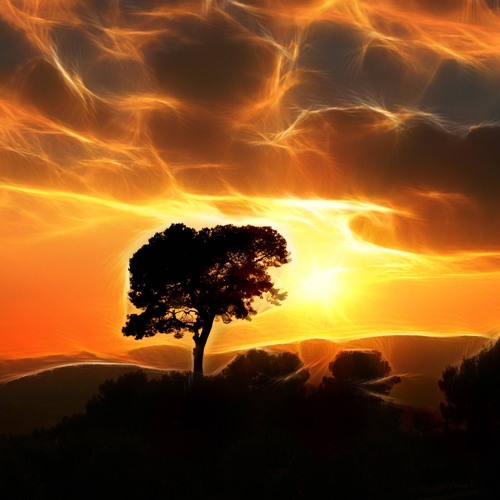 Der Tieftekker - We Could Be The Stars