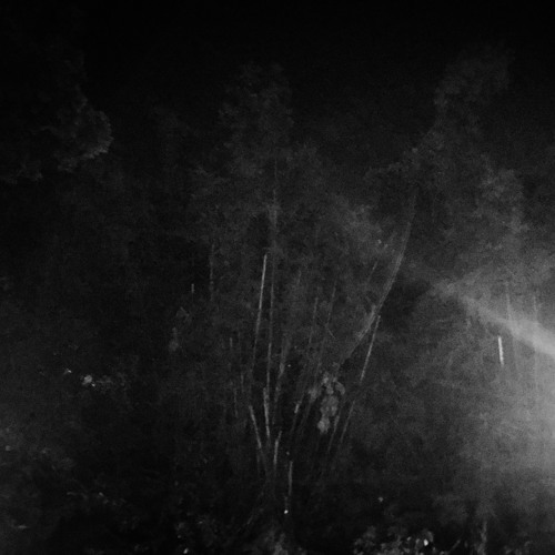 Stream Foam Hands (Destroyer cover) by William Wong Listen online for