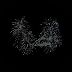 MNMT Premiere: Fugal – Bloom