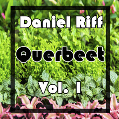 Daniel Riff - Querbeet Vol. 1