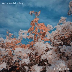 We Could Stay