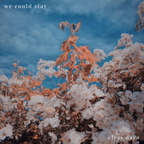 We Could Stay
