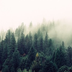 You Made Me The Monster You Think I Am [Music by HBULLOT]