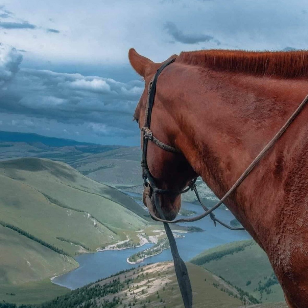 Костромалық қыздар секс үшін