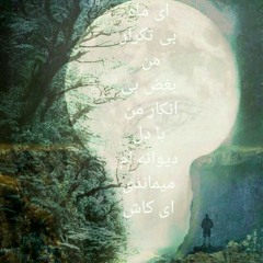 ماه بی تکرار : حجت اشرف زاده