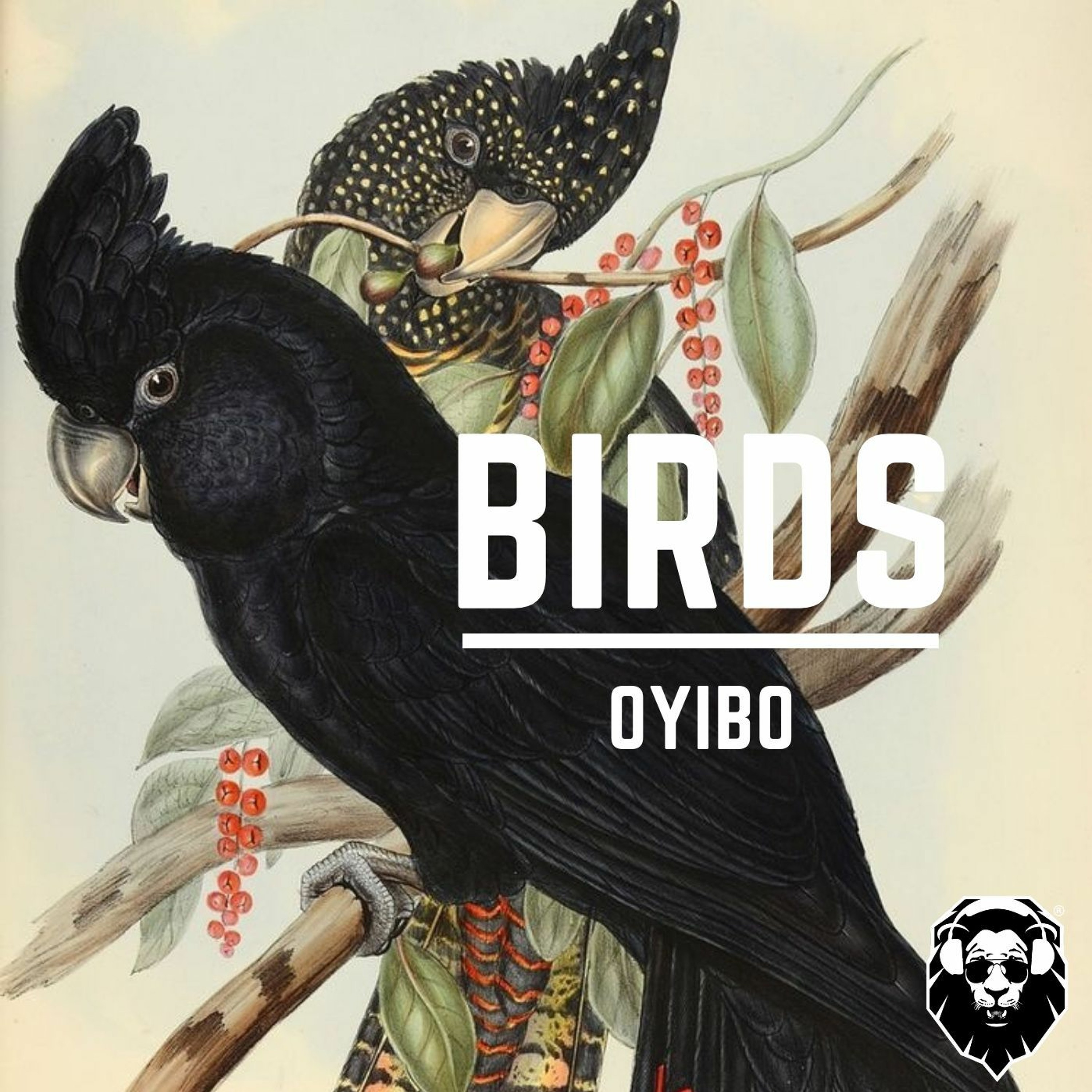 BRM PREMIERE: Oyibo - Birds (Original Mix) [Leisure Music Productions] episode artwork