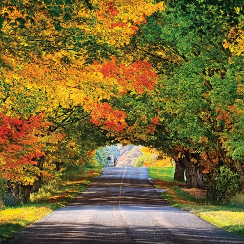 Stream Pure Michigan Radio Show - October 6, 2019 by Pure Michigan