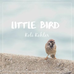 Little Bird