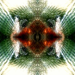 Weird Flex (bass test)