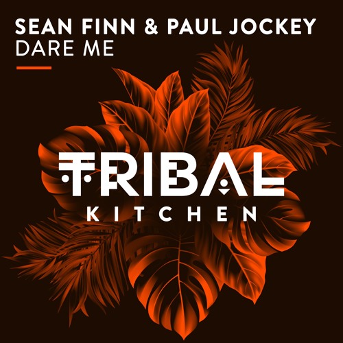 Stream Sean Finn & Paul Jockey - Dare Me ( Original ) by Tribal Kitchen ...