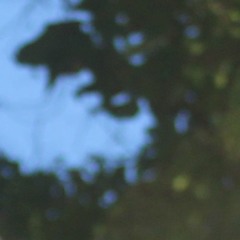 Rewind - JonTheDon with Post Producers