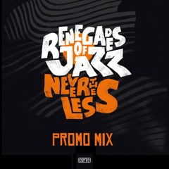 Renegades Of Jazz "Nevertheless Promo Mix"