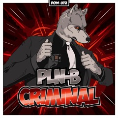 PLN-B - CRIMINAL