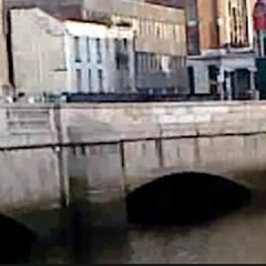 Leon Jumps In The Liffey For 50 Euro - DJ Nicole Remix