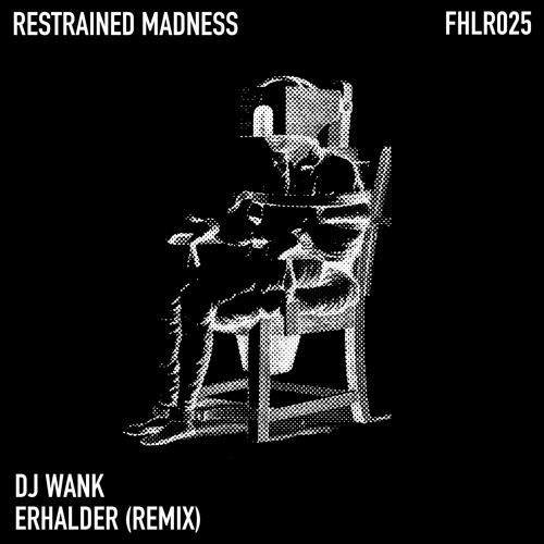 DJ Wank - Descend Into Madness