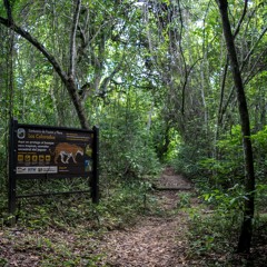 Fuente Hidrica En La Reserva Forestal Protectora Coraza