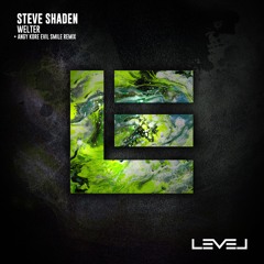 Steve Shaden - Flash Dance (Original Mix)