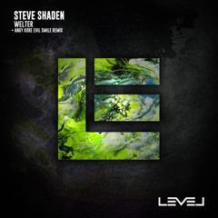 Steve Shaden - Welter (Original Mix)