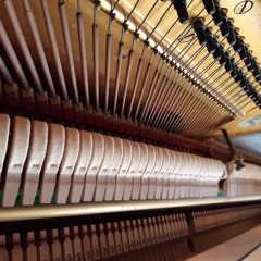 Catori the black fox