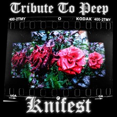 Tribute To Peep (prod. KnifestRecords)