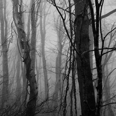ŽAGAR - FOR THE TREES / MIXTAPE 2019