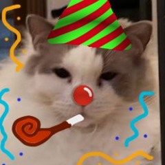 1Ns3l2T 54l) T1t1E !1