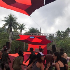 Domestic Pulse - Festa Double Trouble & Friends