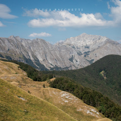 Luca Bacchetti 'Sakura' ENDLESS