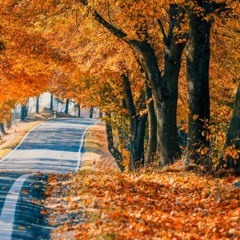 Oktober 2019